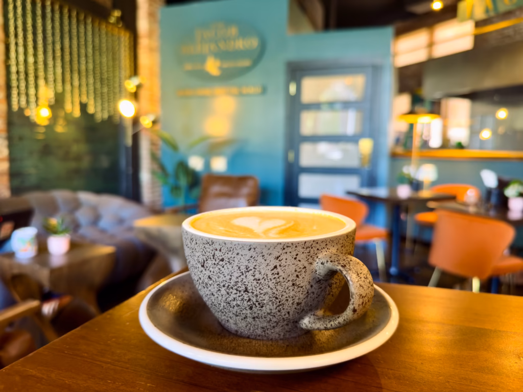 Chic and glamorous interior design of Jacob Alejandro coffee shop in downtown Troy, New York.