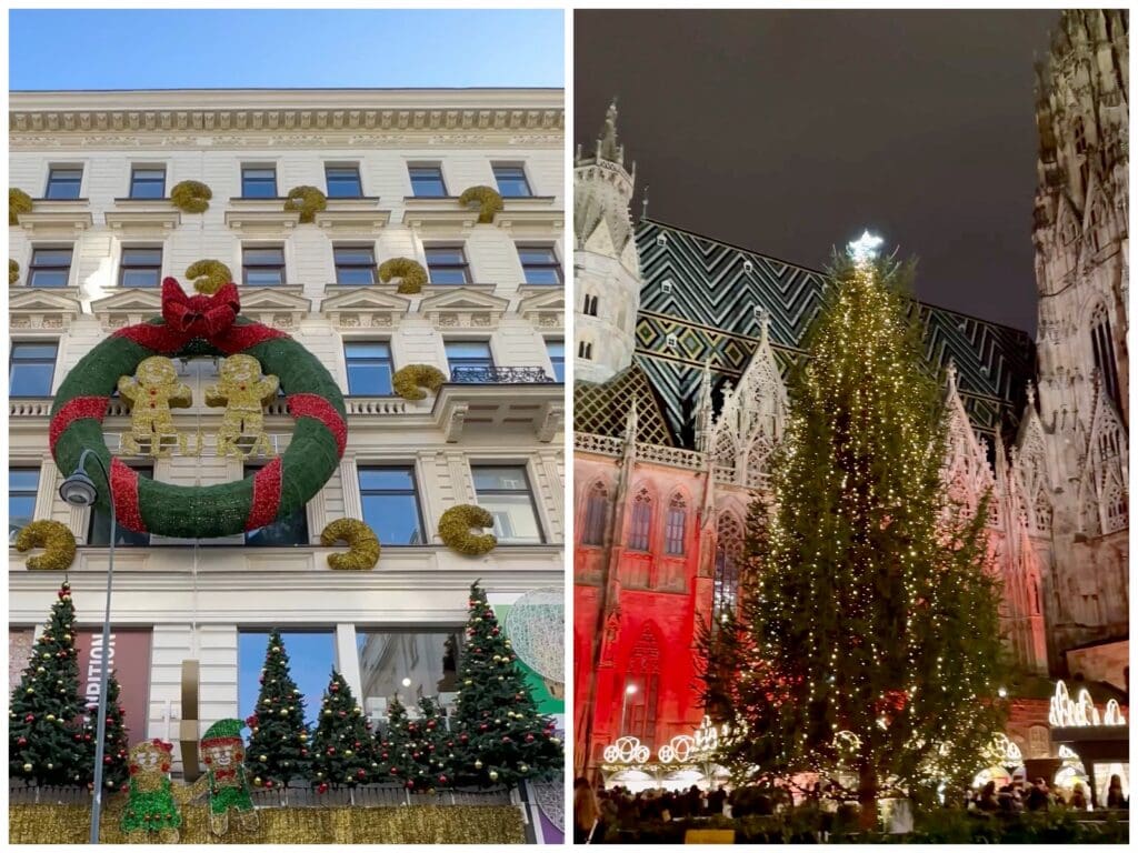 Christmas trees in Vienna Austria during the festive season