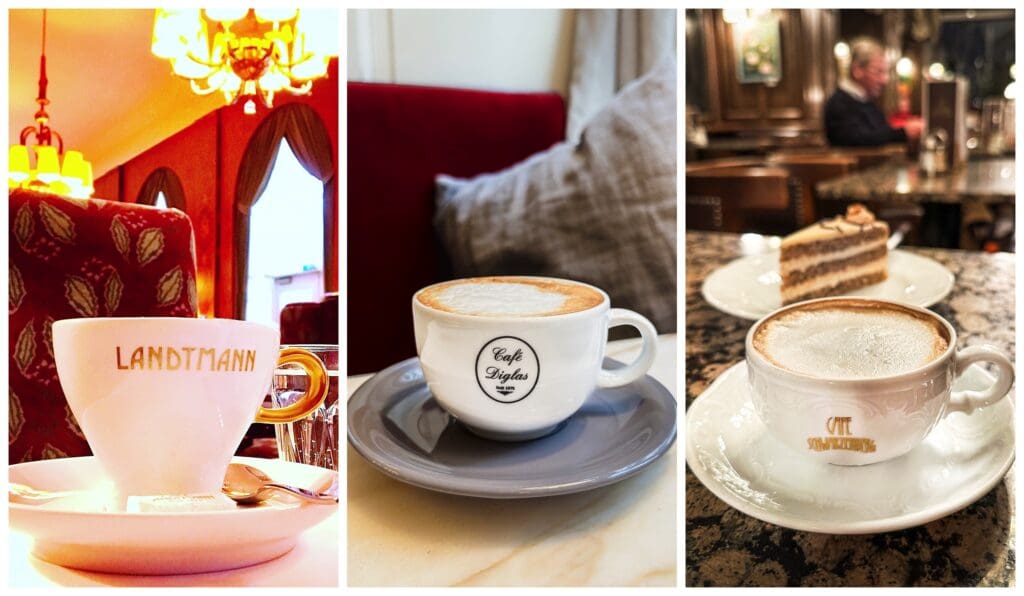 When it's cold outside, nothing better to do in Vienna, than cozing up in one of its historic cafes, like Cafė Landtmann, Diglas or Schwarzenberg