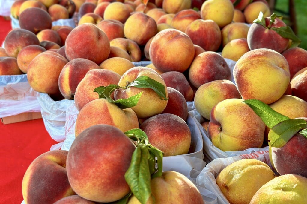 Off the beaten path Lewiston New York major summer festival; peach festival showcasing baskets of juicy peaches