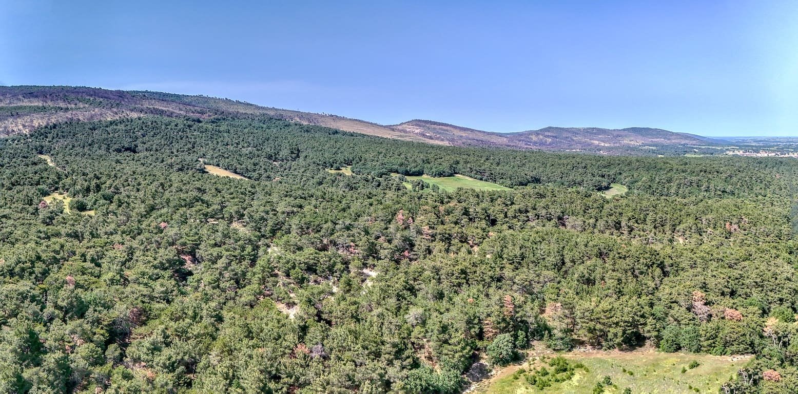 Aerial view of lush and expansive forest of Dadia-Lefkimi-Soufli National Park. Photo by Paul Kostadimas © SpotlightSojourns.com