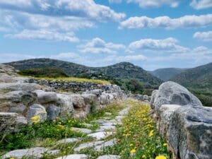 Springtime view of a main road ruins on archaeological site of Minoan Gournia with blue skies and budding flowers