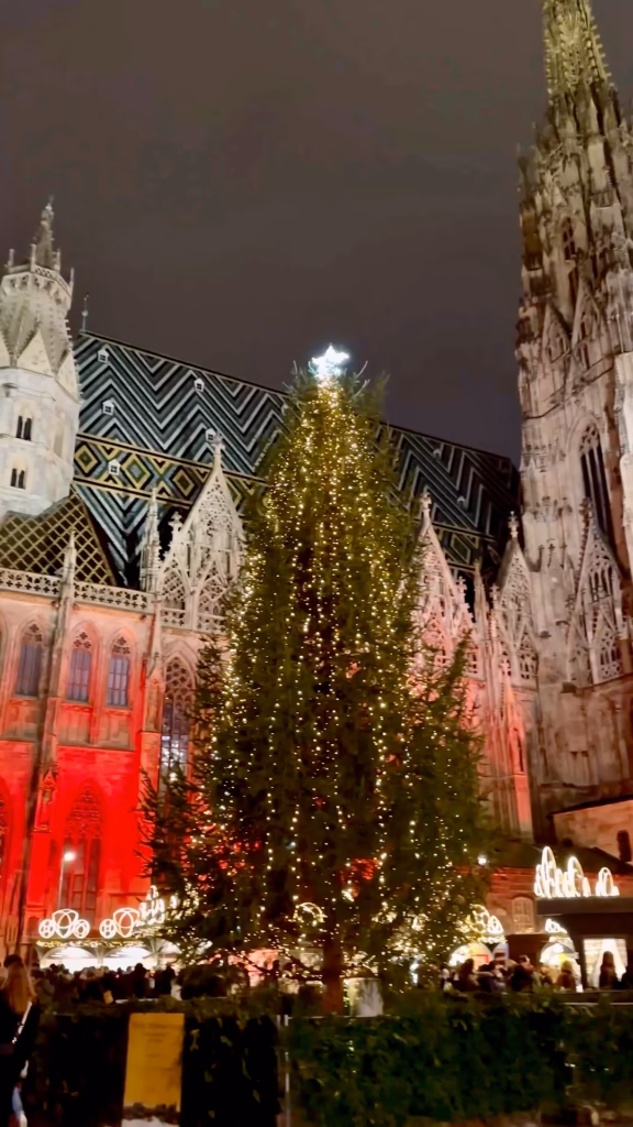 Stephansplatz Christmas Market