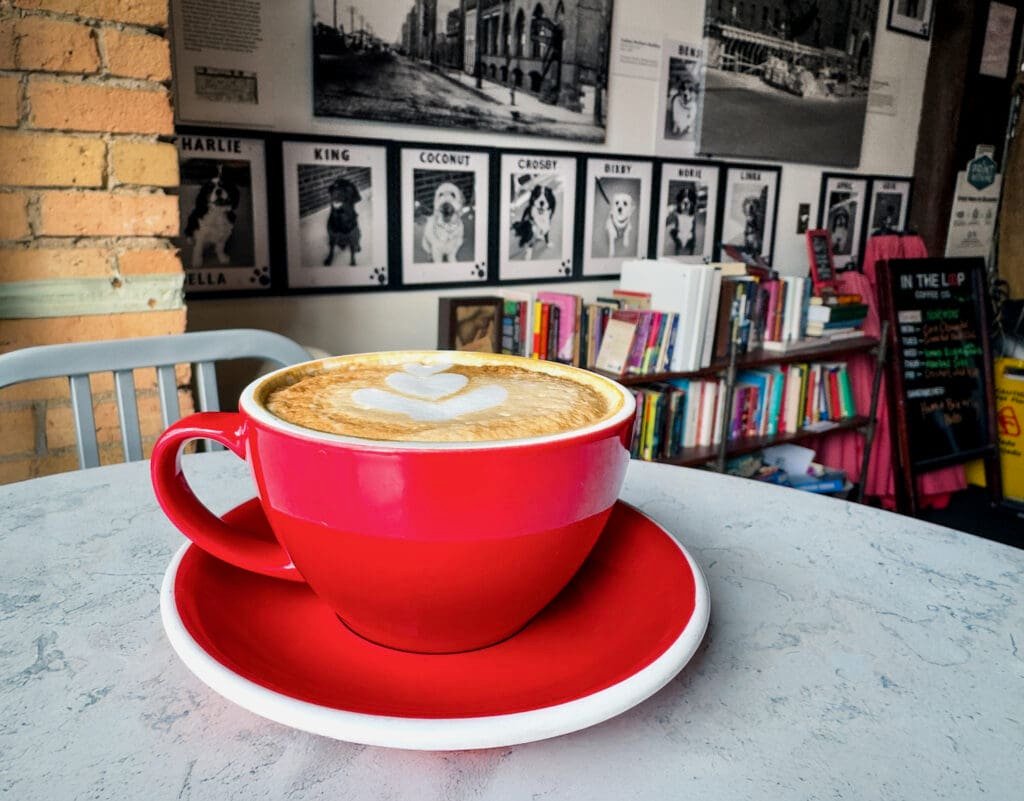 Local cafe in North Loop neighborhood of Minneapolis, welcoming dogs of all ilk