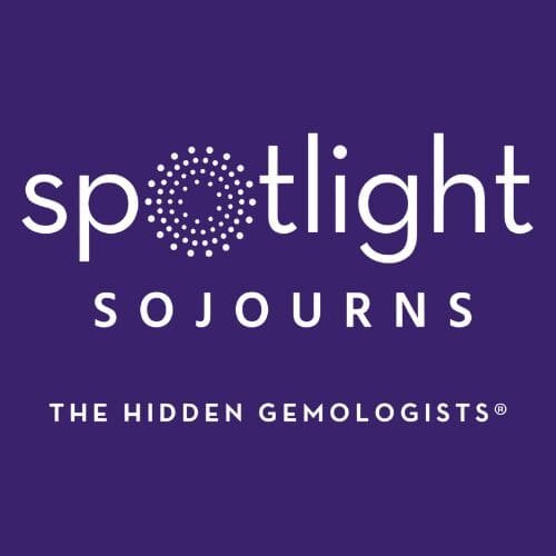 THE HIDDEN GEMOLOGISTS®