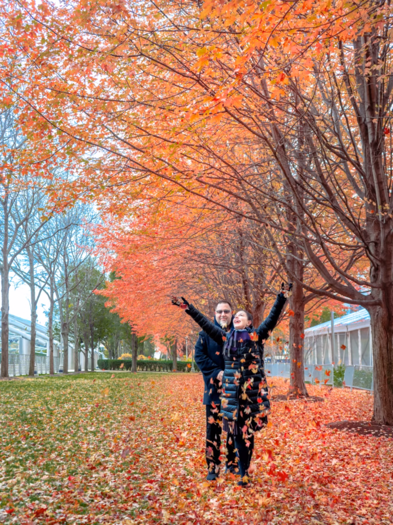 Millennium Park Chicago © Spotlight Sojourns Millennium Park Chicago © Spotlight Sojourns