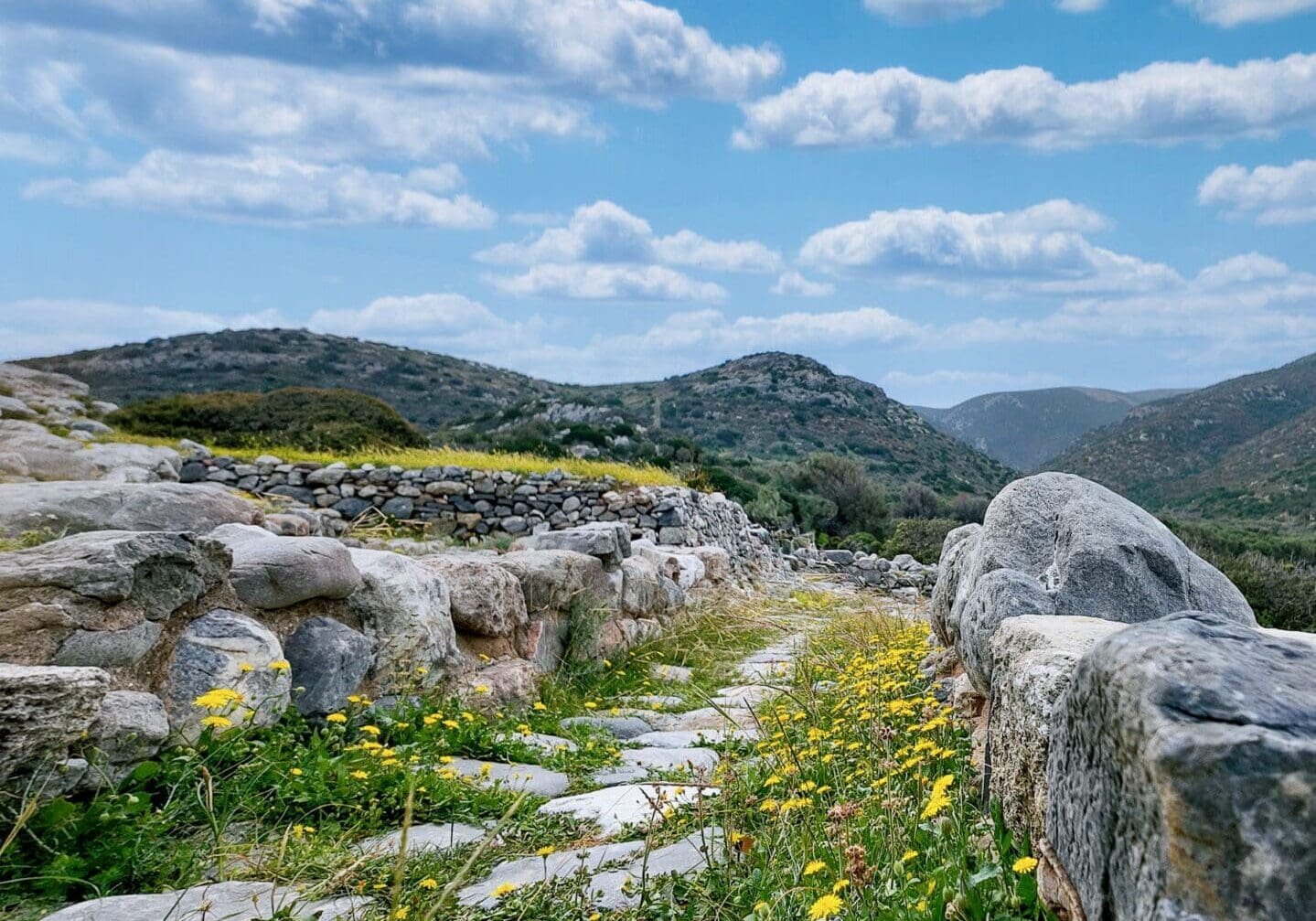 Gournia, Greece © Spotlight Sojourns Springtime view of a main road ruins on archaeological site of Minoan Gournia with blue skies and budding flowers