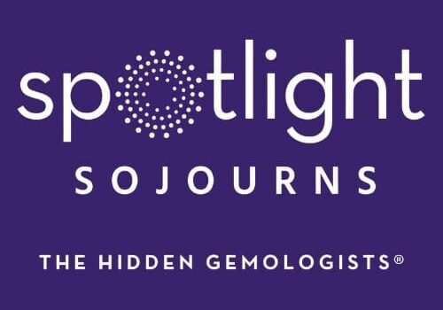 THE HIDDEN GEMOLOGISTS®